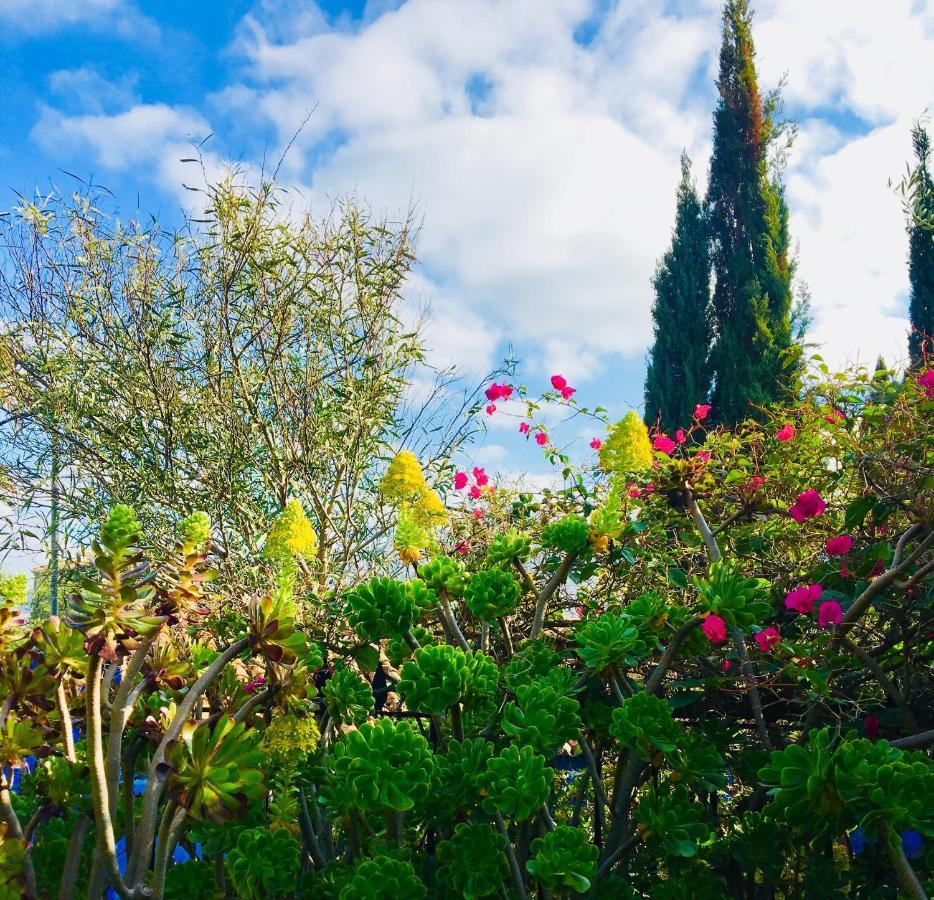 Bohemian Villa - Malaga อะโลรา ภายนอก รูปภาพ