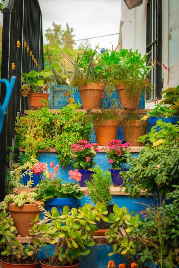 Bohemian Villa - Malaga อะโลรา ภายนอก รูปภาพ